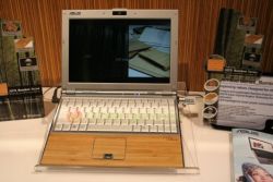 Micro Innovations e DBL, computer eco-friendly
