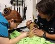 Le donne sono più intuitive. Parola di scienziata
