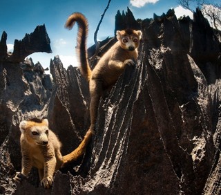 Madagascar, in viaggio con BBC Knowledge