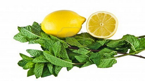 Idee di ricette anticellulite Idee di ricette anticellulite