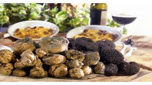 Idee di ricette raffinate con il tartufo Idee di ricette raffinate con il tartufo