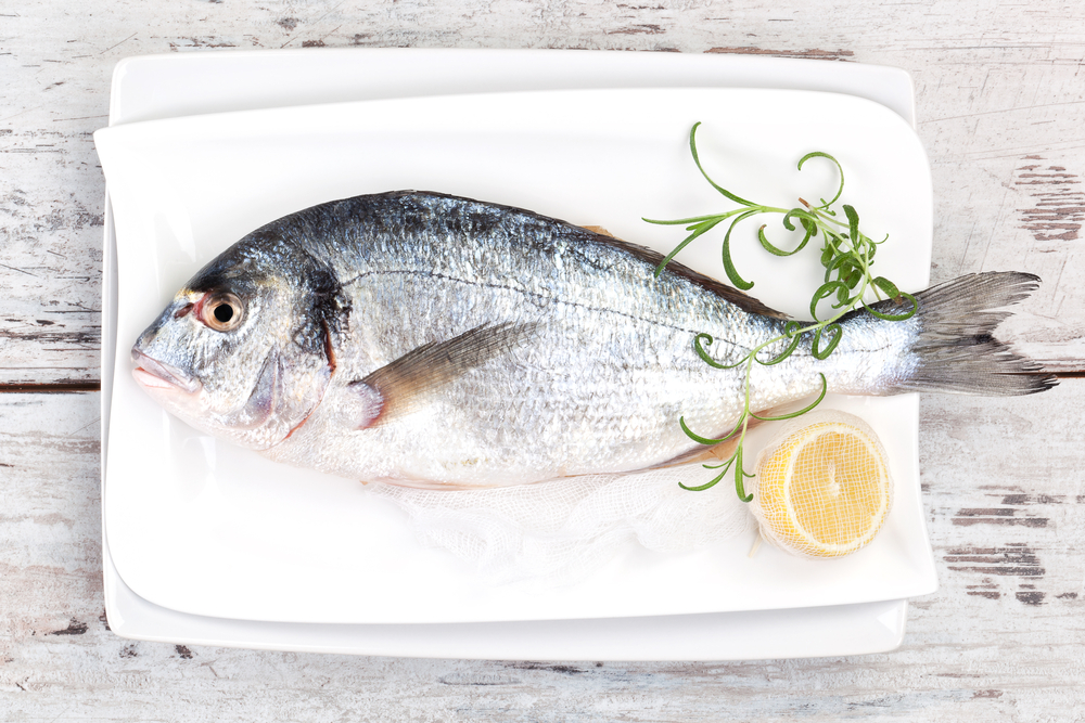 Cromaris: dal mare più puro, il pesce più fresco Cromaris: dal mare più puro, il pesce più fresco