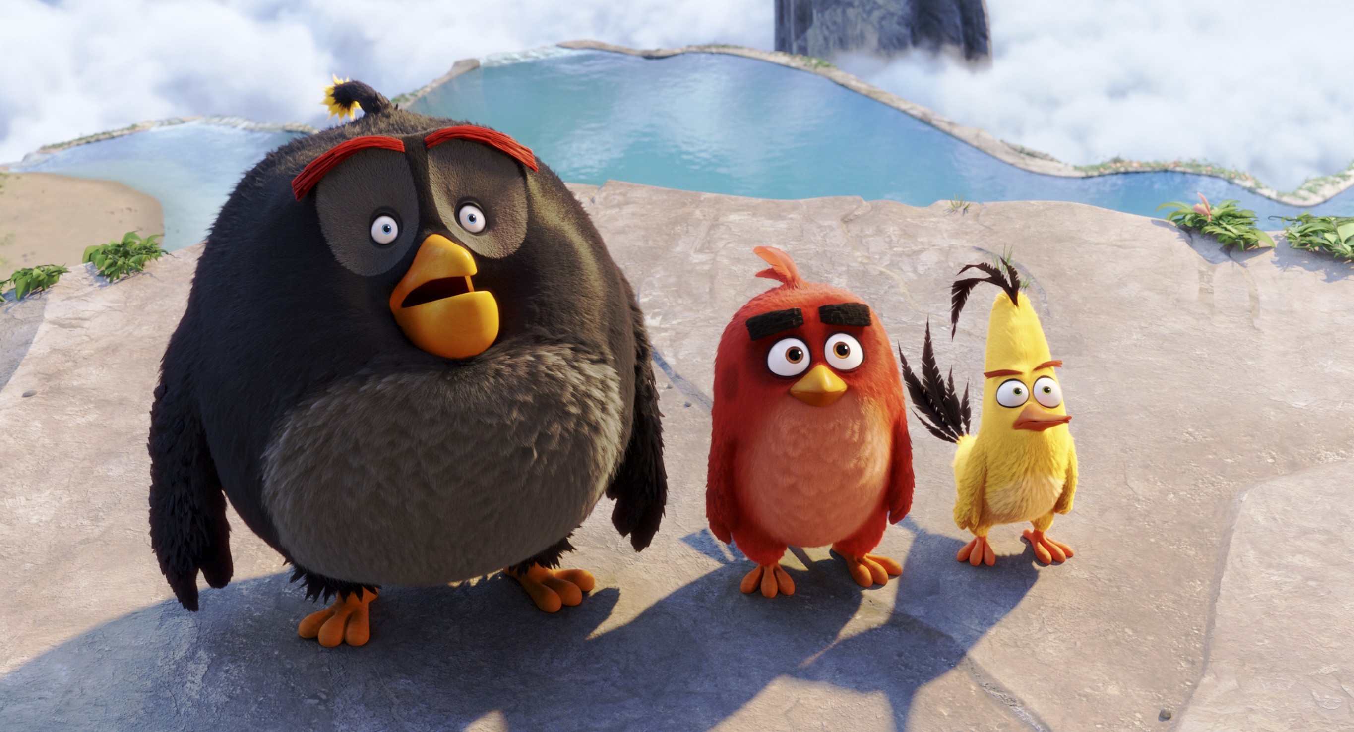 Angry Birds, le foto del film Angry Birds, le foto del film