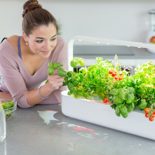 Smart Garden: arriva la nuova serra domestica