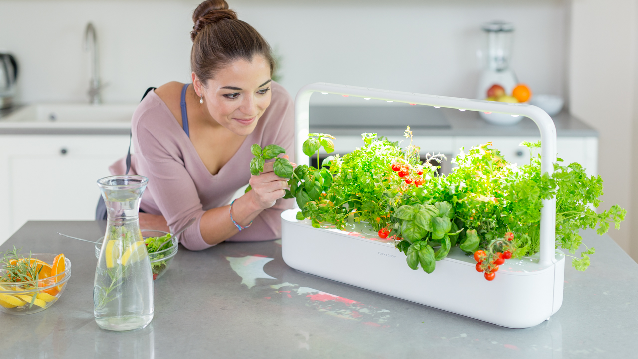 Smart Garden: arriva la nuova serra domestica Smart Garden: arriva la nuova serra domestica