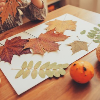 Autunno: 3 lavoretti da fare con i bambini