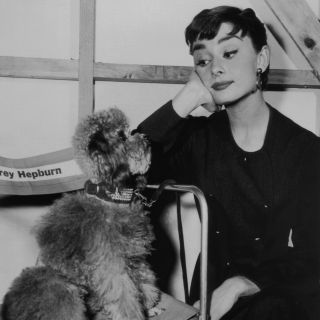 Buon compleanno, Audrey!