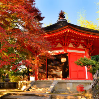 10 mete dove ammirare il foliage