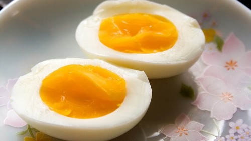 dieta a base di carne e uova dieta a base di carne e uova
