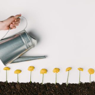 Accessori da giardinaggio: gli indispensabili