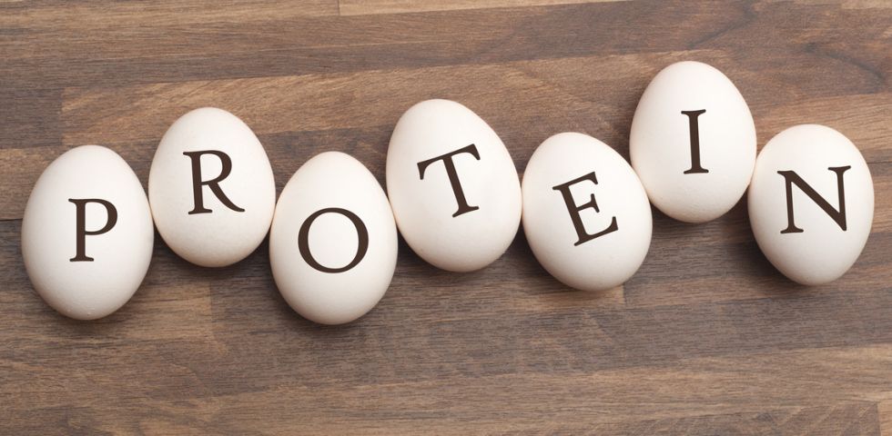 Dieta oloproteica: esempio di menu ed efficacia | DireDonna