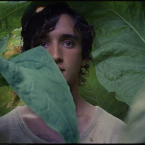 Lazzaro felice, il film di Alice Rohrwacher Lazzaro felice, il film di Alice Rohrwacher