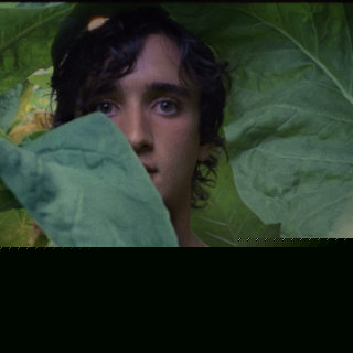 Lazzaro felice, il film di Alice Rohrwacher Lazzaro felice, il film di Alice Rohrwacher