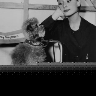Buon compleanno, Audrey! Buon compleanno, Audrey!
