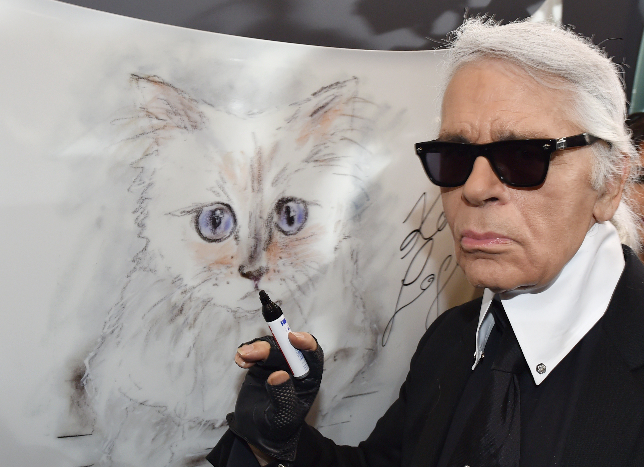 Il gatto Choupette eredita il patrimonio dello stilista