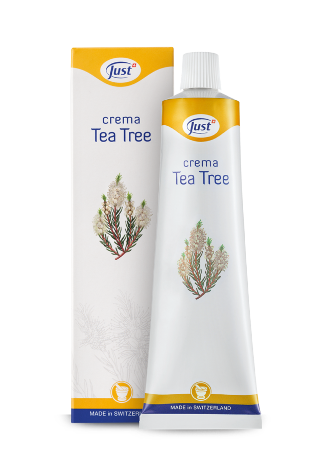 Le migliori creme al tea tree benefici, uso e prezzi DireDonna