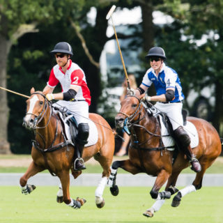 William e Harry: la lite alla partita di polo