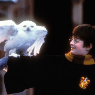 Harry Potter: 20 citazioni dai film Harry Potter: 20 citazioni dai film