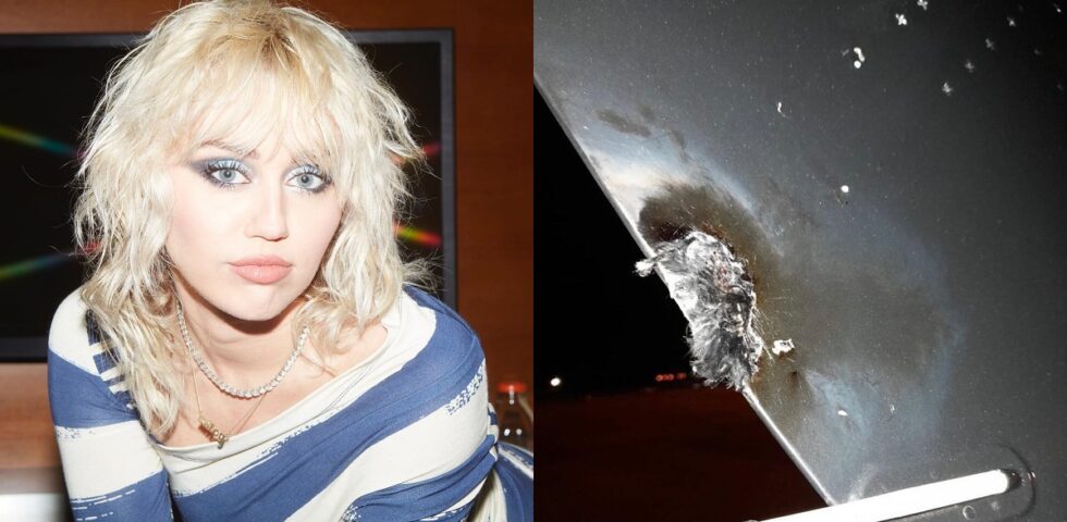 Miley Cyrus terrorizzata: ecco il video del suo jet colpito dai fulmini